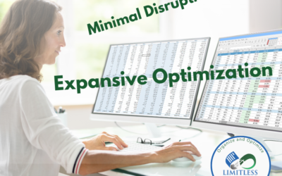 How We Achieve Minimal Disruption of Employees While Improving Optimization and Organization